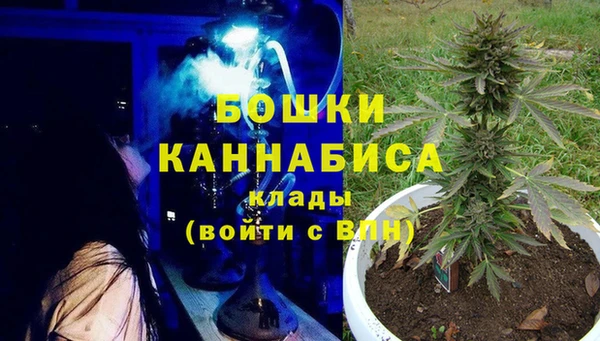 a pvp Белокуриха