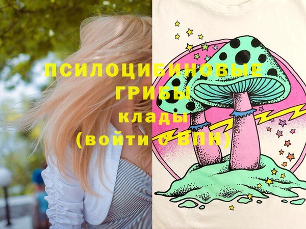 спайс Беломорск