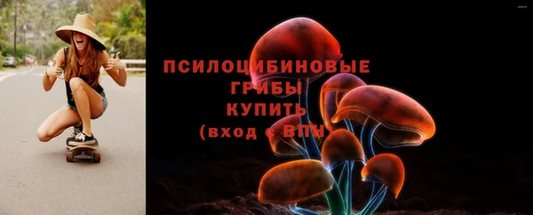 прущие крисы Богородск