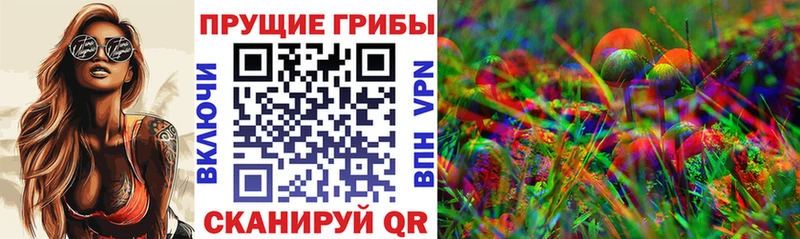 Галлюциногенные грибы MAGIC MUSHROOMS Купить где Староминская