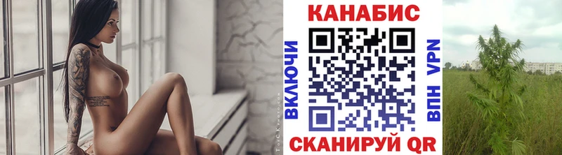 Купить где Староминская Канабис THC 21%